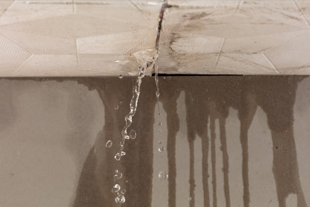 Professional Burst Pipe Cleanup technician working in Pirtleville, AZ